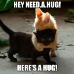 If you ever see this ur welcome | HEY NEED.A.HUG! HERE'S A HUG! | image tagged in kitten hug | made w/ Imgflip meme maker