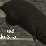 Rat | today I feel like Halo 3 rat | image tagged in halo 3 rat | made w/ Imgflip meme maker