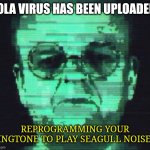 Seagull ringtone | REPROGRAMMING YOUR RINGTONE TO PLAY SEAGULL NOISES | image tagged in zola virus | made w/ Imgflip meme maker