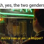 If you're offended that's just too bad. | Ah, yes, the two genders: | image tagged in man or muppet,muppets,the two genders,two genders,boy,man | made w/ Imgflip meme maker