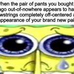 If you don't know what a draw string is, search it up lol | When the pair of pants you bought 4 days ago out-of-nowhere appears to have the drawstrings completely off-centered and ruins the appearance of your brand new pair of pants: | image tagged in sad spong | made w/ Imgflip meme maker
