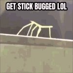 Stick Bug lol