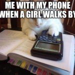 Cat calculator | ME WITH MY PHONE WHEN A GIRL WALKS BY | image tagged in cat calculator | made w/ Imgflip meme maker