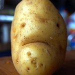 upvote begging | UPVOTE THIS POTATO; TO MAKE HIM HAPPY AGAIN | image tagged in sad potato,fun,upvote begging,funny,potato,memes | made w/ Imgflip meme maker