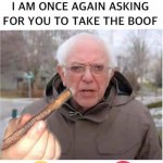 Bernie high