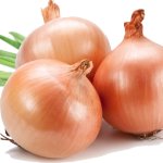 Onion