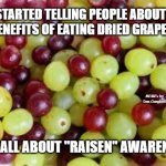 Grapes... | I'VE STARTED TELLING PEOPLE ABOUT THE 
BENEFITS OF EATING DRIED GRAPES; MEMEs by Dan Campbell; IT'S ALL ABOUT "RAISEN" AWARENESS | image tagged in grapes | made w/ Imgflip meme maker