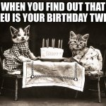 The Best Present :) | WHEN YOU FIND OUT THAT ICEU IS YOUR BIRTHDAY TWIN! | image tagged in birthday cats,iceu,birthday | made w/ Imgflip meme maker