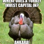 Joke | WHERE DOES A TURKEY INVEST CAPITAL IN? ANKARA! | image tagged in memes,turkey,ankara,jokes | made w/ Imgflip meme maker