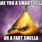 Be honest | ARE YOU A SMART FELLA; OR A FART SMELLA | image tagged in realistic angry birds | made w/ Imgflip meme maker