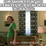 Are you challenging me? | SOME RANDOM PERSON: *GOES FOR A WALK AT THE LOCAL LAKE OR RIVER*
THE LOCAL GEESE: | image tagged in are you challenging me | made w/ Imgflip meme maker