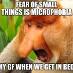 Janusz monkey screaming | FEAR OF SMALL THINGS IS MICROPHOBIA; MY GF WHEN WE GET IN BED: | image tagged in janusz monkey screaming | made w/ Imgflip meme maker
