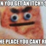 Angy Cinnamon toast crunch | WHEN YOU GET AN ITCHY SPOT; IN THE PLACE YOU CANT REACH | image tagged in angy cinnamon toast crunch | made w/ Imgflip meme maker