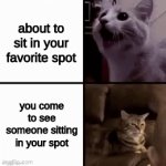 i was just about to sit there. | about to sit in your favorite spot; you come to see someone sitting in your spot | image tagged in gifs,memes,funny | made w/ Imgflip video-to-gif maker