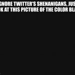 Here you go guys! | IGNORE TWITTER'S SHENANIGANS, JUST LOOK AT THIS PICTURE OF THE COLOR BLACK | image tagged in black | made w/ Imgflip meme maker