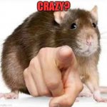 post in the coments if you get the joke | CRAZY? | image tagged in pointing rat | made w/ Imgflip meme maker