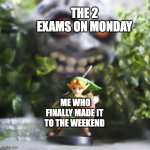Link Amiibo | THE 2 EXAMS ON MONDAY; ME WHO FINALLY MADE IT TO THE WEEKEND | image tagged in link amiibo | made w/ Imgflip meme maker