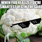 PSY454 | WHEN YOU REALIZE YOU'RE THE SMARTEST VEG IN THE GARDEN... | image tagged in cauliflower | made w/ Imgflip meme maker