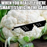 cauliflower Meme Generator - Imgflip