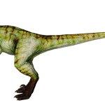 Novel Velociraptor (Male)