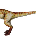 Novel Velociraptor (Female)