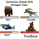 crunch munch | Fredbear | image tagged in carnivorus animals with strongest jaws | made w/ Imgflip meme maker