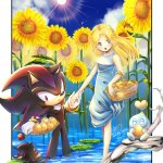 theyre in a chao garden i think (art by okami)