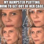 Every day | MY HAMPSTER PLOTTING HOW TO GET OUT OF HER CAGE: | image tagged in math lady/confused lady,hampter,memes | made w/ Imgflip meme maker
