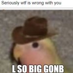 L so big Gonb broke character meme