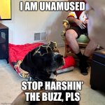 Doggo with sunnies | I AM UNAMUSED; STOP HARSHIN’ THE BUZZ, PLS | image tagged in harshin the buzz,dog,dog with glasses | made w/ Imgflip meme maker