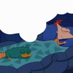 Perry the platypus sleeping meme