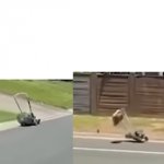 Crashing Lawnmower meme