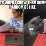 Woman showing paper to cat | MY CATS WHEN I SHOW THEM SOMETHING
RANDOM BE LIKE:; HUH | image tagged in woman showing paper to cat,cats,meme | made w/ Imgflip meme maker