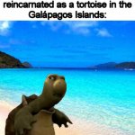 Death is different to all of us. | People who say "You only live
once" when they die and get
reincarnated as a tortoise in the
Galápagos Islands: | image tagged in beach,memes,yolo,what is this place | made w/ Imgflip meme maker