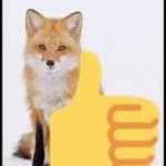 Fox thumbs up