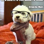 Outside vs. Inside of a Dog. | OUTSIDE OF A DOG A BOOK IS MAN'S BEST FRIEND.  INSIDE OF A DOG IT'S TOO DARK TO READ. Groucho Marx | image tagged in memes,intelligent dog | made w/ Imgflip meme maker