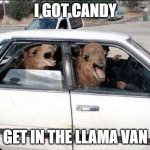 skull emoji | I GOT CANDY; GET IN THE LLAMA VAN | image tagged in memes,quit hatin | made w/ Imgflip meme maker
