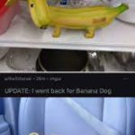 Banana Dog meme
