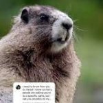 Lets All Share with Kevin