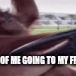 Future ofc | LIVE FOOTAGE OF ME GOING TO MY FRIENDS HOUSE | image tagged in gifs,memes,funny,monkey,monkey business | made w/ Imgflip video-to-gif maker