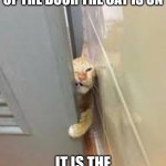 The Pet Principle | NO MATTER WHICH SIDE OF THE DOOR THE CAT IS ON; IT IS THE WRONG SIDE. | image tagged in cat squeezing through the door,pets,door,humor,funny | made w/ Imgflip meme maker