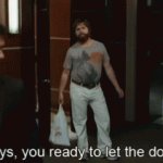 Zach Galifianakis Let The Dogs Out GIF - Zach Galifianakis Let T