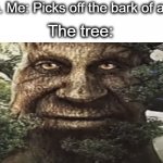 Wise Mystical Tree Face Old Mythical Oak Tree Funny Meme Button