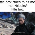 true story of me and my brother | little bro: *tries to hit me*
me: *blocks*
little bro: | image tagged in vergil - what sort of power is this,devil may cry,memes,little brother,brothers,siblings | made w/ Imgflip meme maker