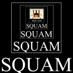 SQUAM Meme Generator - Imgflip