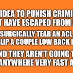 orange meme | NEW IDEA TO PUNISH CRIMINALS THAT HAVE ESCAPED FROM JAIL:; SURGICALLY TEAR AN ACL AND SLIP A COUPLE LOW BACK DISCS; AND THEY AREN'T GOING TO RUN ANYWHERE VERY FAST AGAIN | image tagged in orange meme,back,pain,old,body,fun | made w/ Imgflip meme maker