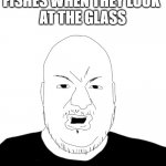 I like fish | FISHES WHEN THEY LOOK 
AT THE GLASS | image tagged in pronouns,funny,memes,relatable,fish,relatable memes | made w/ Imgflip meme maker