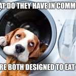 Dog and dryer | WHAT DO THEY HAVE IN COMMON? THEY ARE BOTH DESIGNED TO EAT SOCKS | image tagged in dog and dryer | made w/ Imgflip meme maker