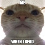 Staring Cat/Gusic | ME; WHEN I READ | image tagged in staring cat/gusic | made w/ Imgflip meme maker