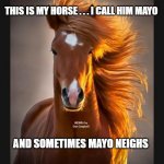 Horse | THIS IS MY HORSE . . . I CALL HIM MAYO; AND SOMETIMES MAYO NEIGHS; MEMEs by Dan Campbell | image tagged in horse | made w/ Imgflip meme maker